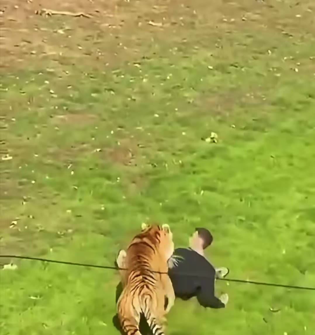 Trump post video